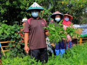 Perkuat Program Ketahanan Pangan, Pemkot Tangerang Bagikan 486.118 Bibit Tanaman