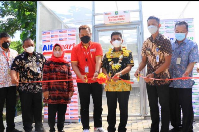 WhatsApp Image 2022-06-03 at 15.19.20