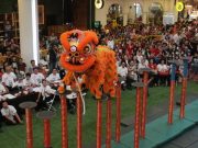 Mengenal Barongsai, Kesenian Khas Jelang Perayaan Imlek