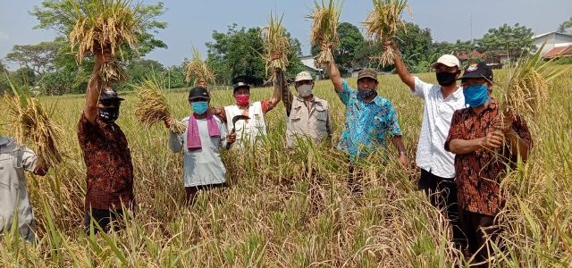 Hindari Penyalahgunaan Pupuk Bersubsidi, Kartu Tani Minimalisir 'Kebocoran'