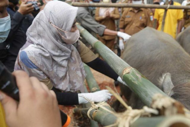 PEMKAB PANDEGLANG
