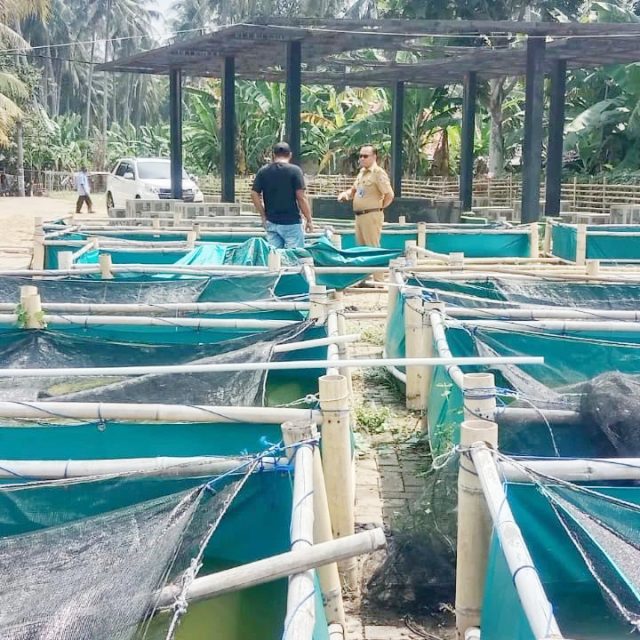 TPI Kampung Kohod (2)