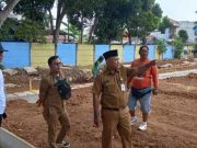 Standar Rumput yang Akan Dipasang di Stadion Benteng Reborn