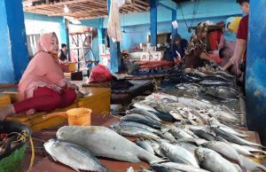 Tangkapan Ikan Nelayan Di Lebak Meningkat
